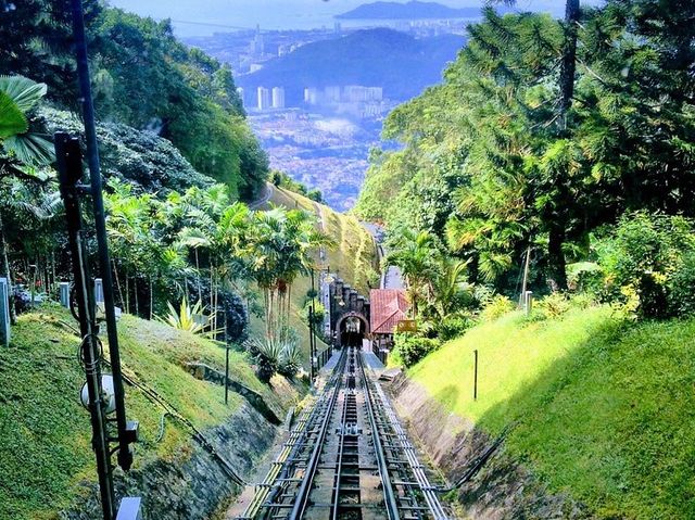 Train to Nature ❤️