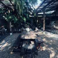 9th September Eat Drink Tree