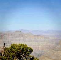 Eagle Point At Grand Canyon Skywalk