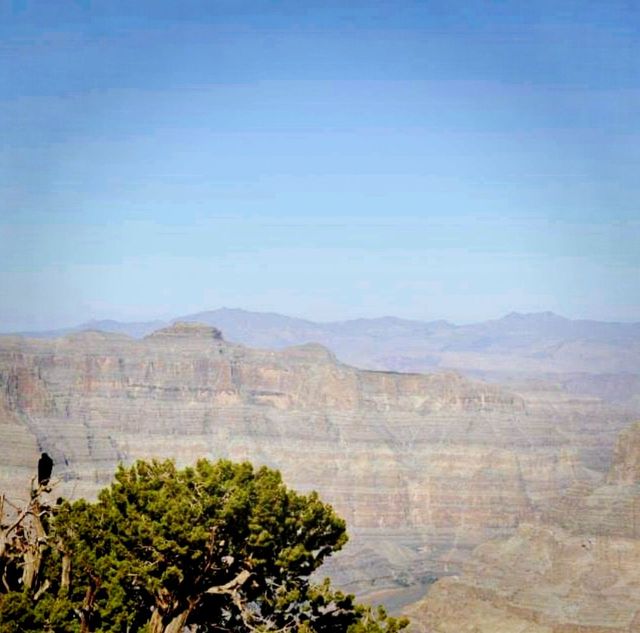 Eagle Point At Grand Canyon Skywalk