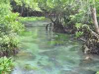 🌿💦ผ่อนกาย สบายใจ คลองน้ำใส ท่าปอม🌿💦