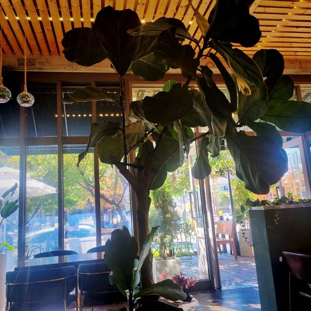 [경기 화성] 테라스가 있는, 분위기 좋은 카페 마노☕️