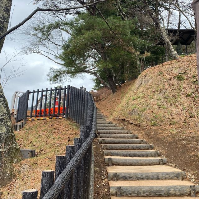 富士山絕景 新倉山淺間公園