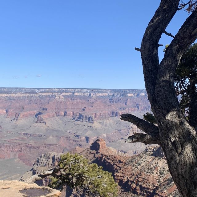 Mesmerizing views from Grand Canyon