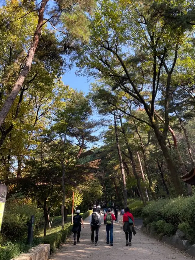 등린이도 부담 없는 가을 등산 추천, 아차산