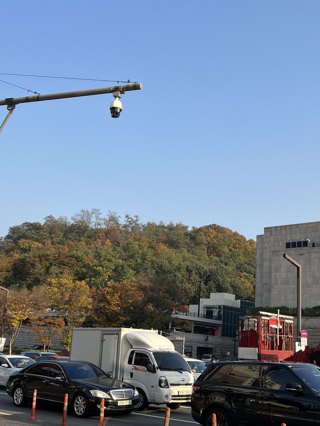 단풍으로 물든 예술의 전당 🍂