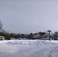 秋田県　千秋公園　雪景