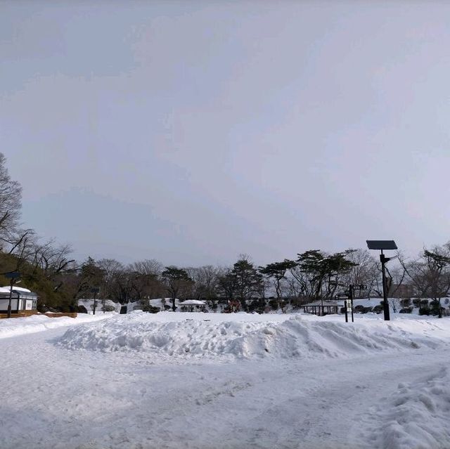 秋田県　千秋公園　雪景