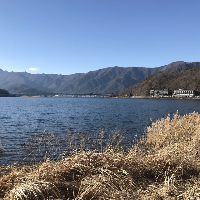 富士山🗻河口湖💕情侶💑拍拖之選