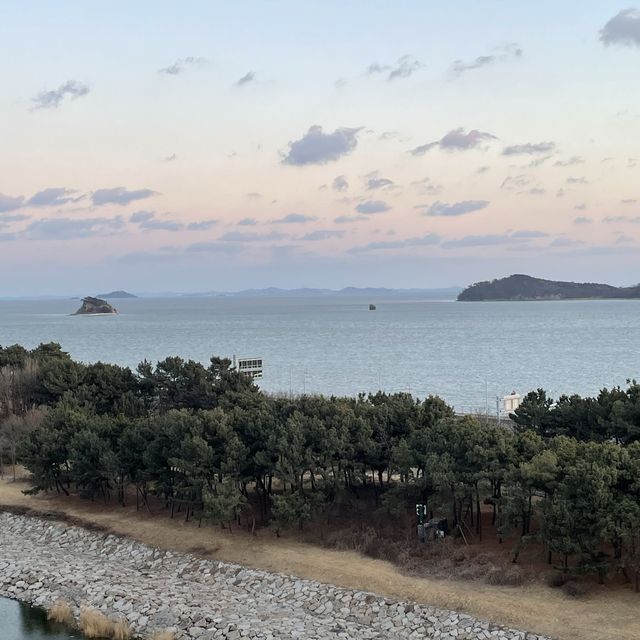 영종도의 둥지, 서해바다 온수풀 수영장은 여기지💙 인천 NEST HOTEL
