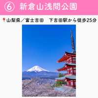 この春行きたい！お花見スポット7選