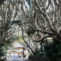 【茨城】酒列磯前神社