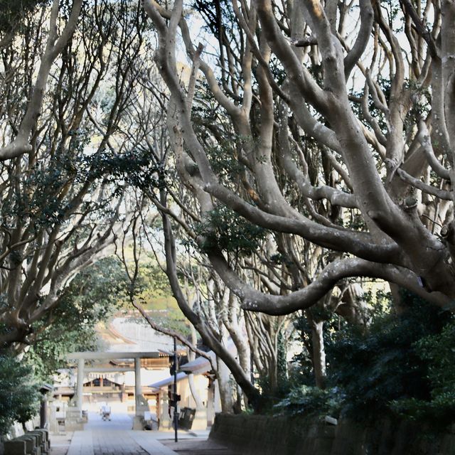 【茨城】酒列磯前神社