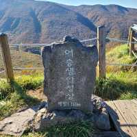 한라산 등반이 어렵다면? 어승생악 코스 추천!