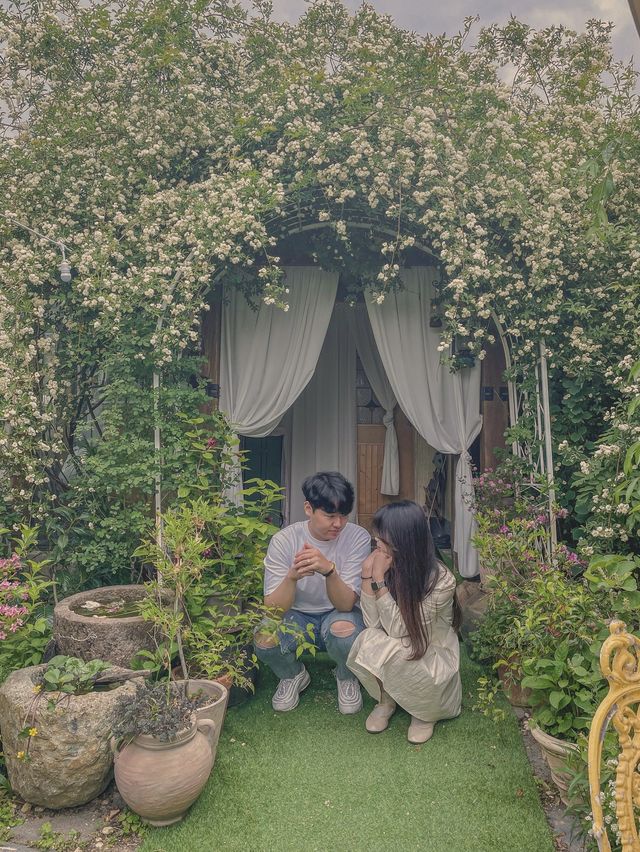 프리이빗하게 목향장미를 즐길 수 있는 곳, 경주 미사화