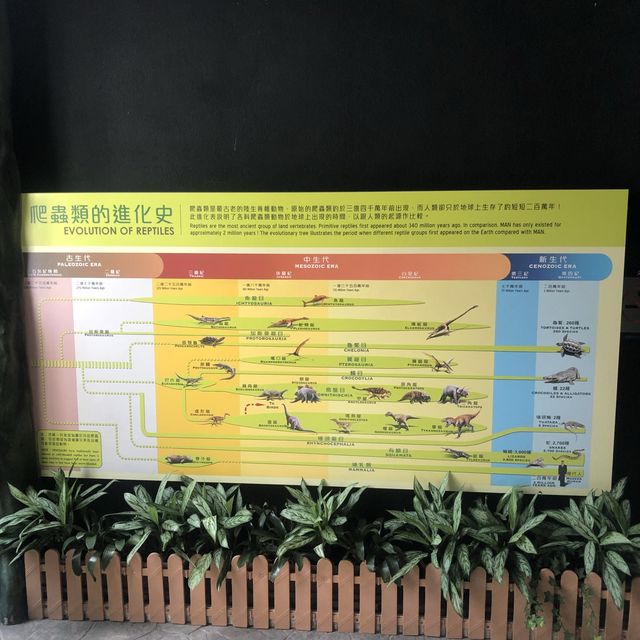 認識爬蟲類好地方