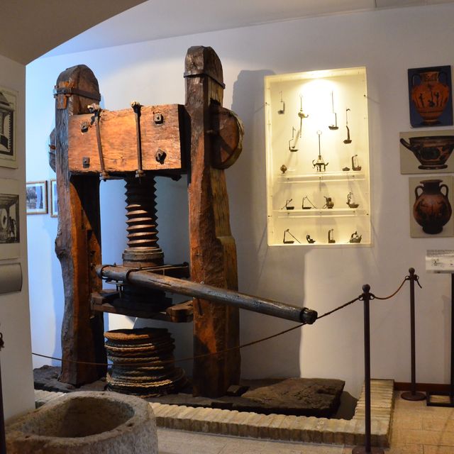 意大利Cisano 🫒橄欖油博物館