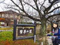京都出名哲學之道