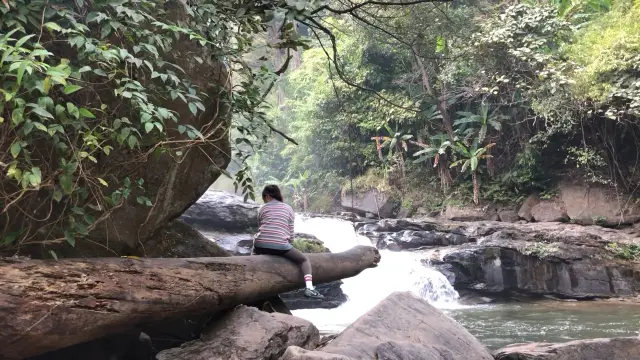 치앙마이 트레킹투어 도이인타논🌲그 끝에 폭포