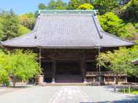 【神奈川県】＜鎌倉＞夏の新緑と妙本寺