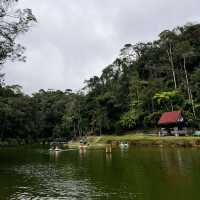 Lush Greenery Lake