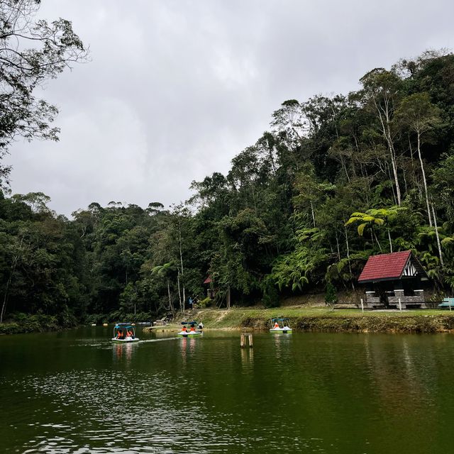 Lush Greenery Lake