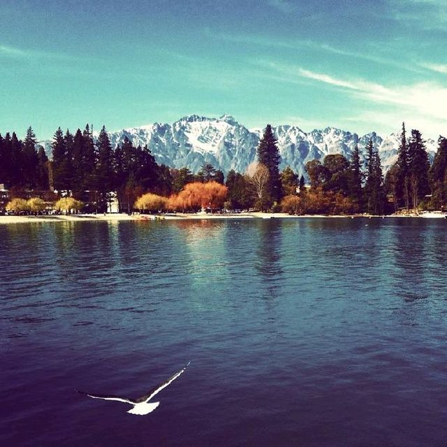 MY LOVELY QUEENSTOWN 