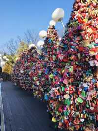 🇰🇷N Seoul Tower 🌃🌇
