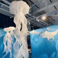 💙🤍815Art纖維藝術創作展《水母和朋友們》📍REHOW LIVING LAB 反覆生活實驗室♻️