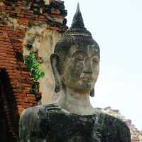 มุมมองย้อนรอยสู่อดีต วัดมหาธาตุ อยุธยา
