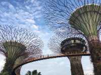 新加坡最美花園—Gardens by the Bay