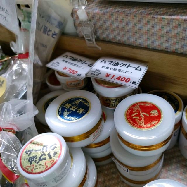 【沖縄 那覇】公設市場でウミヘビとハブ✨
