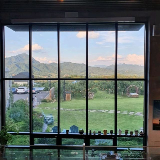 해플스 팜사이더리🍎