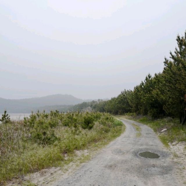 삽시도 밤섬 해수욕장 여행
