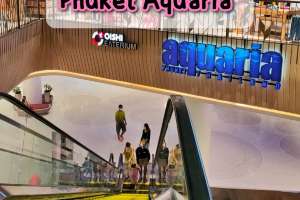 Phuket Aquaria อะควาเรียมที่ใหญ่ที่สุดในไทย!!