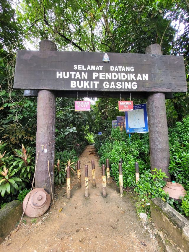 Bukit Gasing Hiking Trail 👣✨