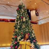 Merry Christmas 🎄 โรงแรมใจกลางสุขุมวิท 