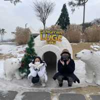 눈덮인 설산과함께❄️씨사이드리조트 루지