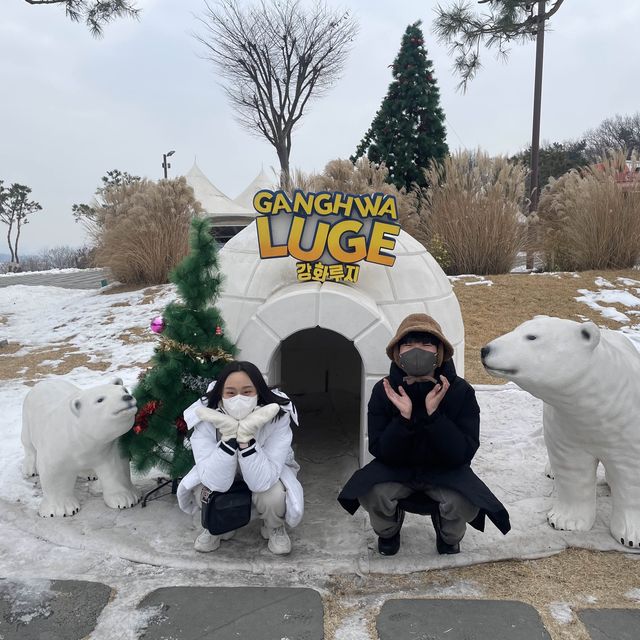 눈덮인 설산과함께❄️씨사이드리조트 루지