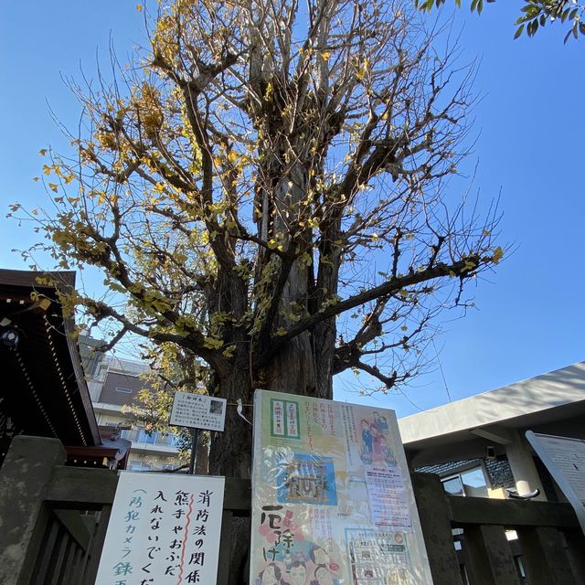 【目黒】大鳥神社