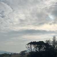 view from top of country park