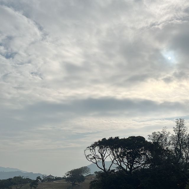 view from top of country park
