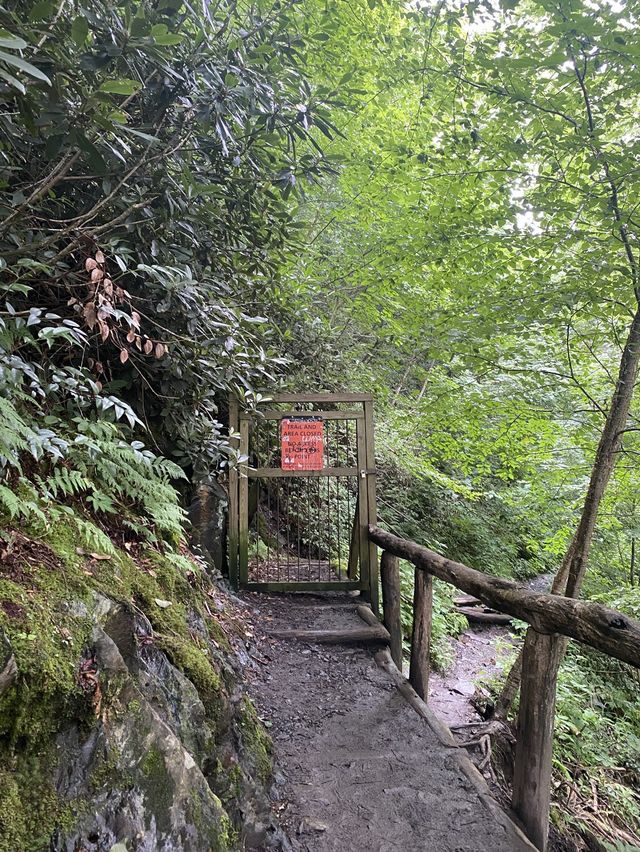 Chimney Top Trail - Smoky National Park