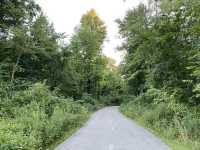 Beech Woodland Trail - Columbus