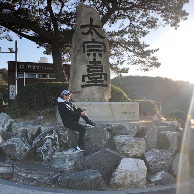 釜山太宗臺乘船🛥環島遊🏝餵海鷗