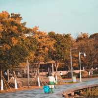 Autumn vibes at the jinji lake 🍂 