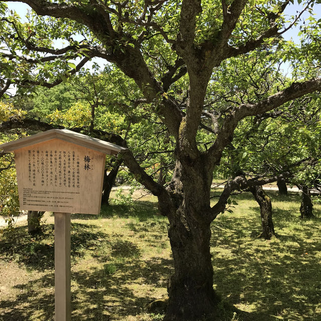 日本三大名園之一 兼六園
