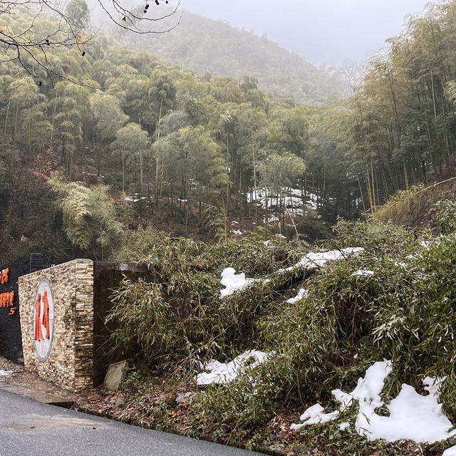 Hiking in snowy Moganshan Mountains.