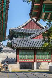 서울 고궁 산책 "창덕궁"