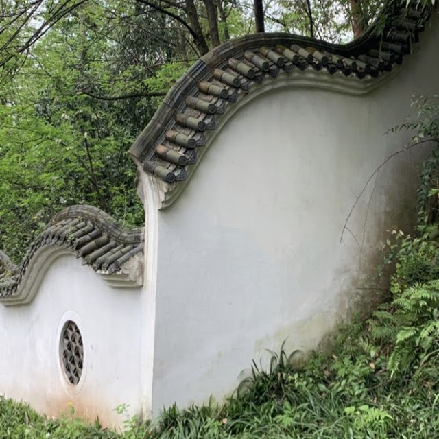 A Botanical Oasis in the Center of Chongqing